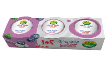 زبادي يوناني توت عليق 160غرام 3 علب